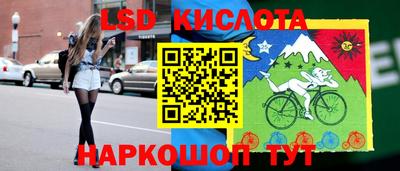 индика Кандалакша