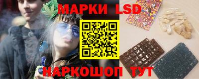 индика Кандалакша