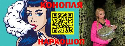 индика Кандалакша