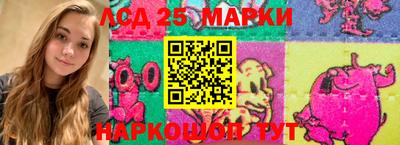индика Кандалакша